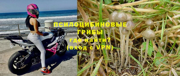 соль ск Горняк