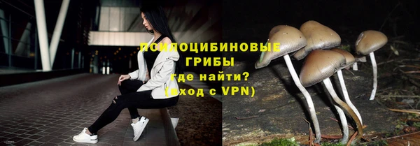 прущие крисы Горно-Алтайск