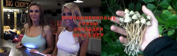 прущие крисы Горно-Алтайск