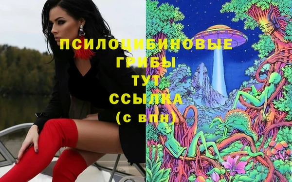 соль ск Горняк