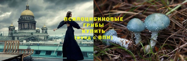соль ск Горняк