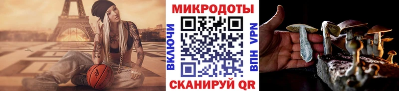 Псилоцибиновые грибы Cubensis Гусев