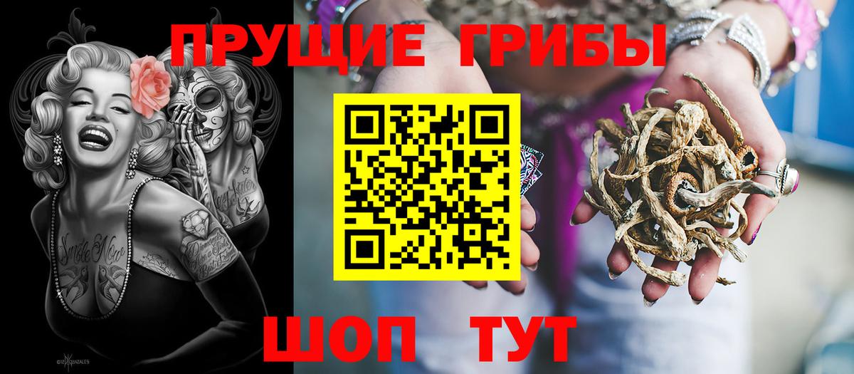 купить закладку  Галлюциногенные грибы Psilocybine cubensis  Вход с VPN  Гусев 