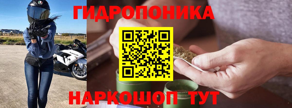Бошки Шишки семена  Конопля White Widow  Вход с VPN  Гусев  Бошки марихуана ГИДРОПОН 